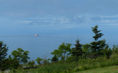 Die Bay of Fundy und Cape Breton