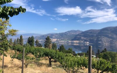 Von Vancouver ins Okanagan-Valley: Sommer, Wein und Interessantes über Kanada